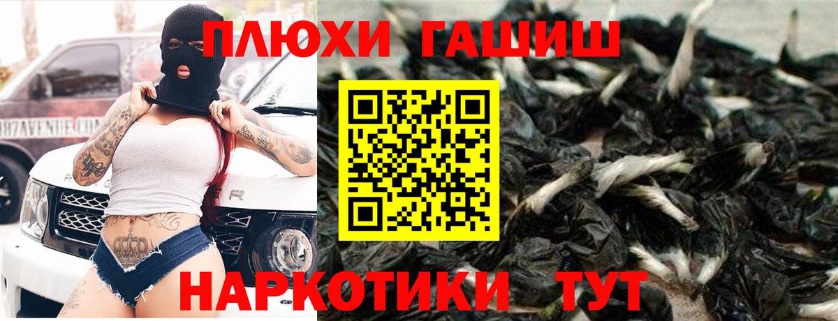 ГАШ ice o lator  Вход с VPN  Губкин  ГАШ гарик 